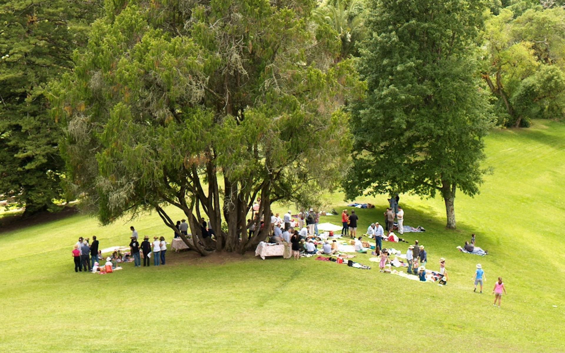 Pic-nic dos Amigos de Monserrate