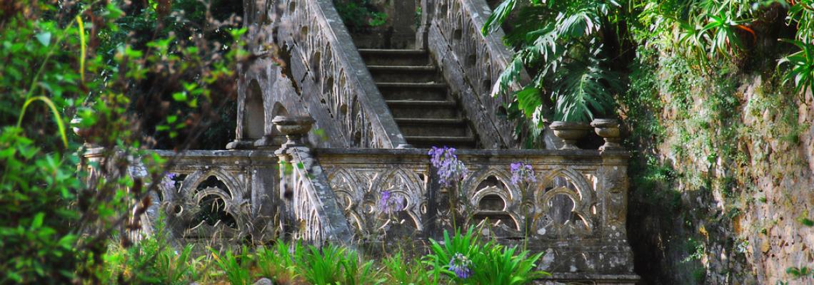 Vegetation