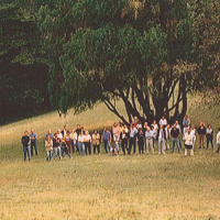 Herd