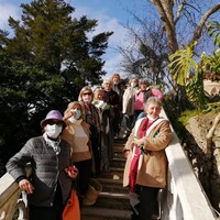 Pessoas da Associação Amigos de Monserrate numa escadaria