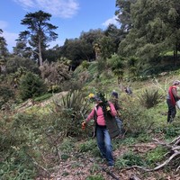 pessoas a passearem pelos jardins de monserrate