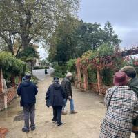 Alguns senhores a caminhar