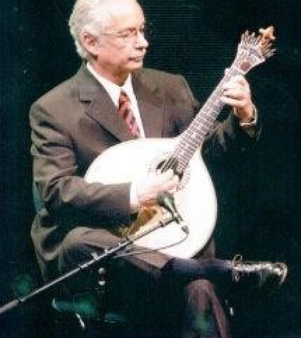 Musical instrument Portuguese Guitar Concert