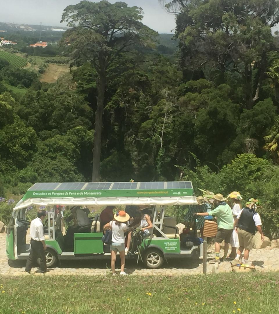 Hill station car