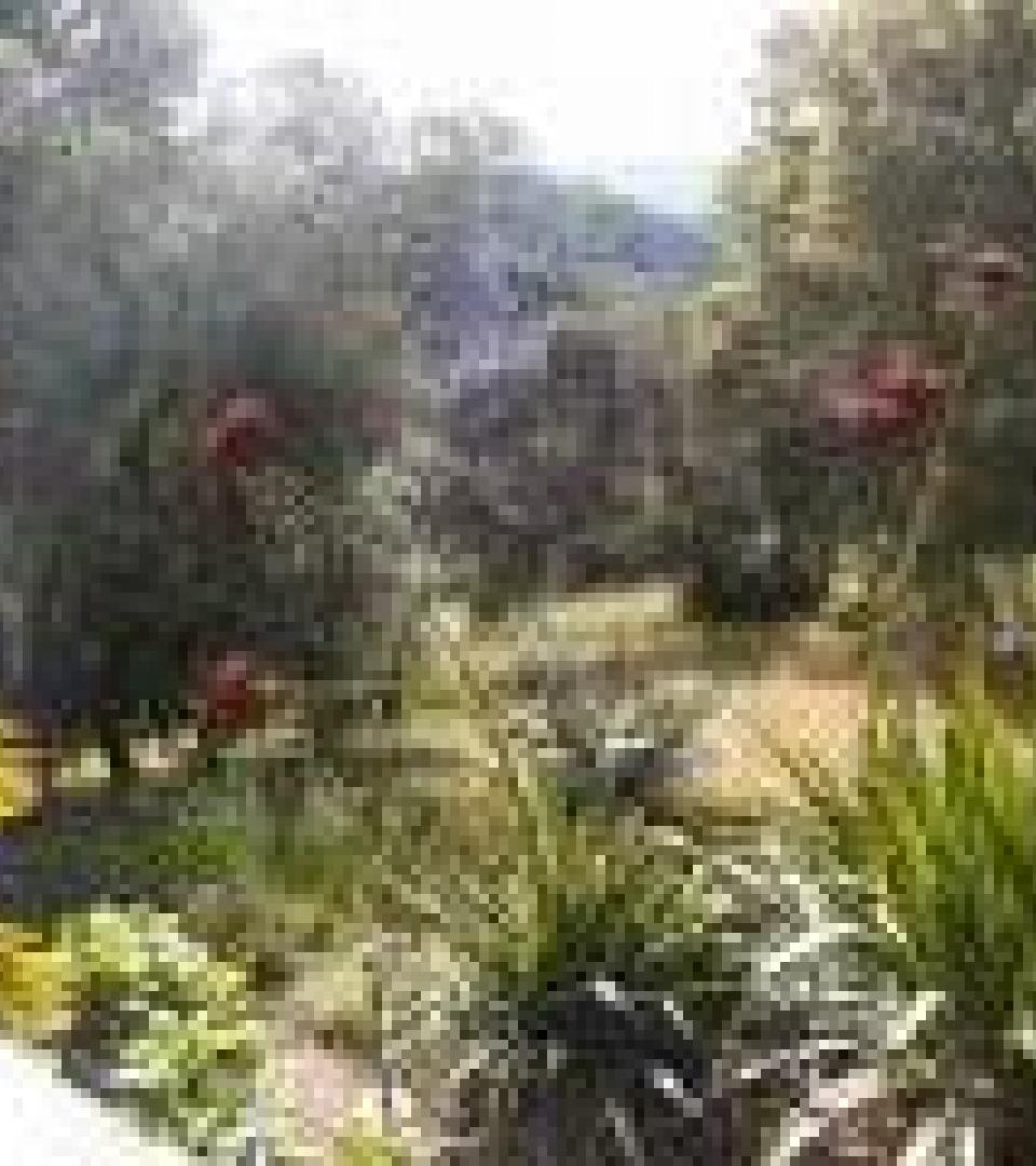 Nature Nature
