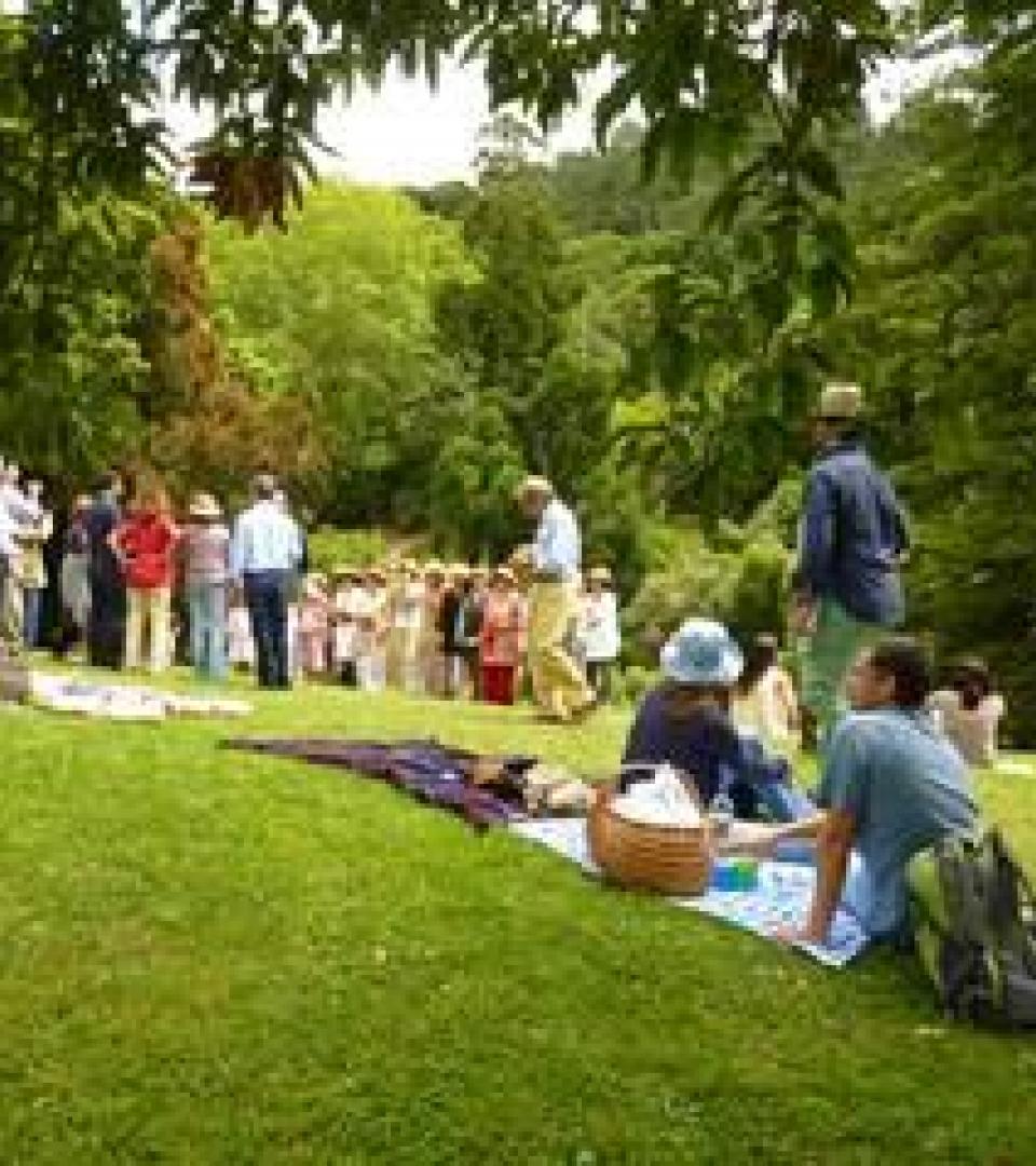 Lawn group of people