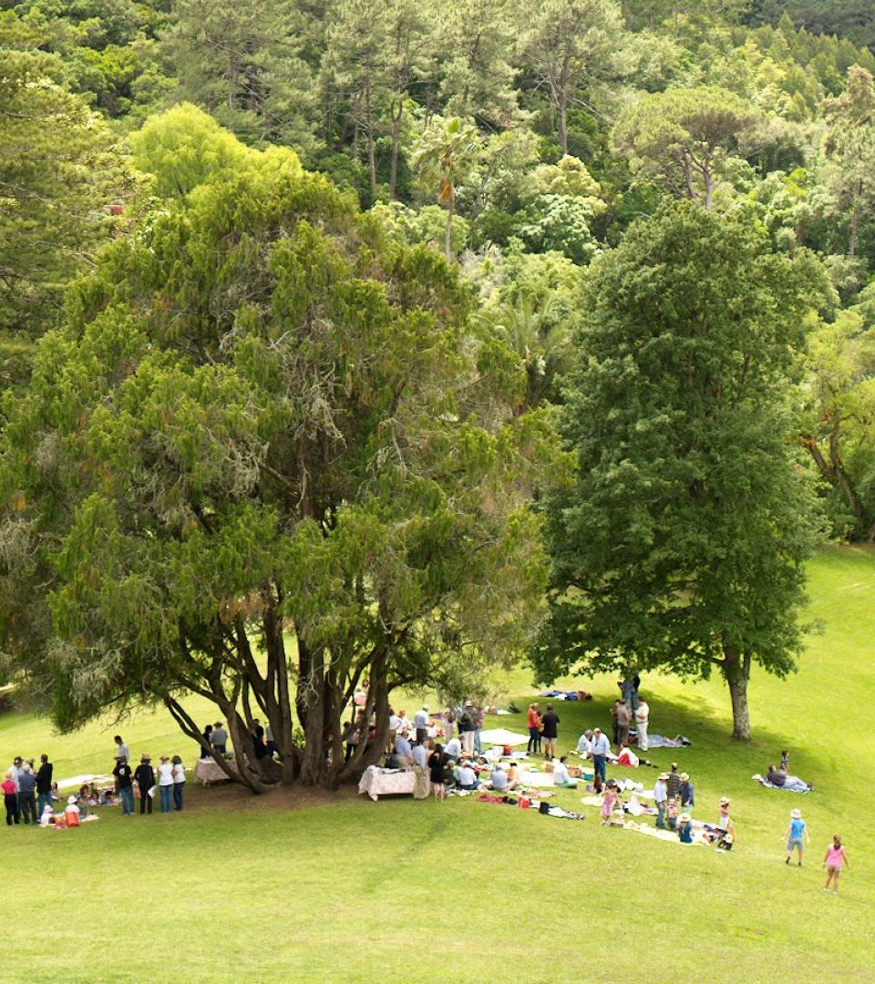 Lawn Lawn