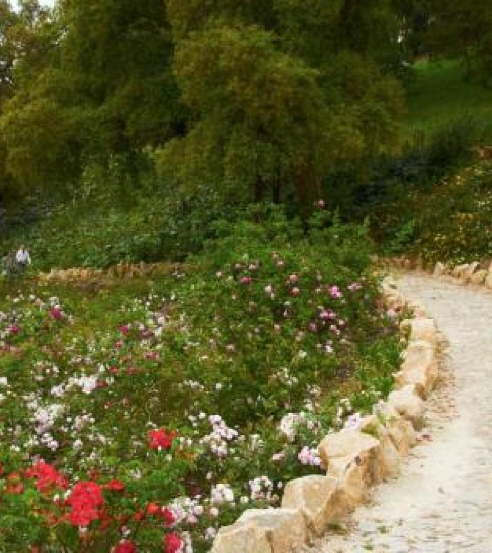 Natural landscape Natural landscape