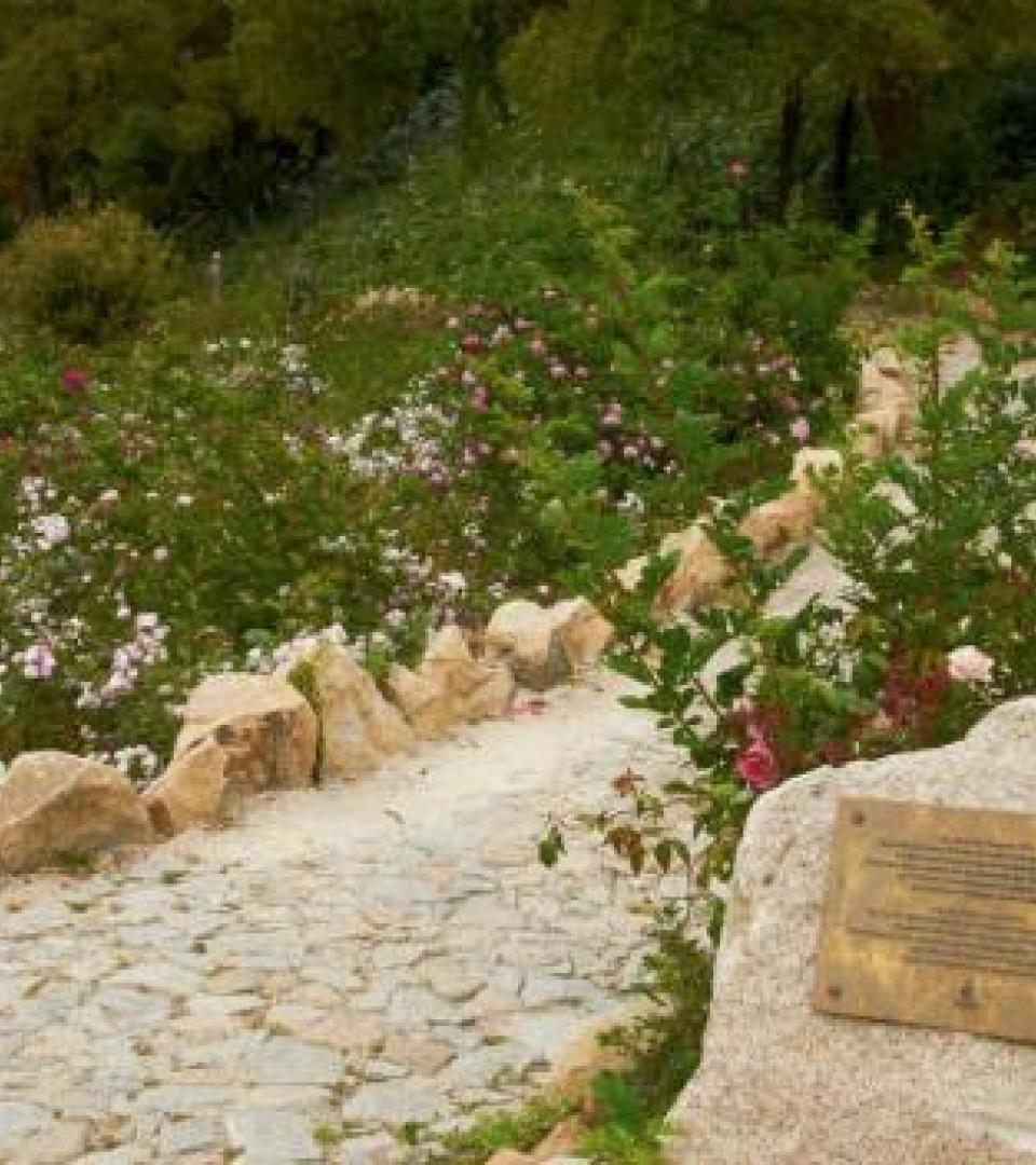 Garden Garden