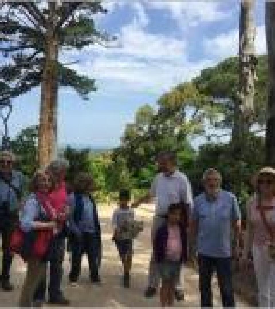 Community Visita Guiada a Monserrate a 21 de Maio