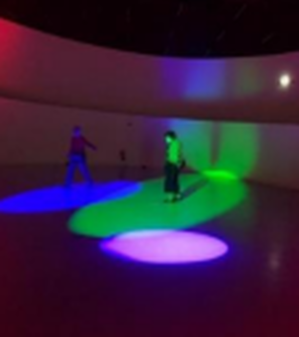 Visita à exposição DIA de Carsten Holler
