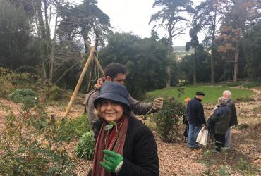 Let's get pruning from the Rose Garden