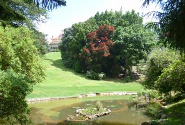 Natural landscape